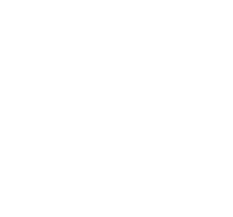 HDMI + VGA